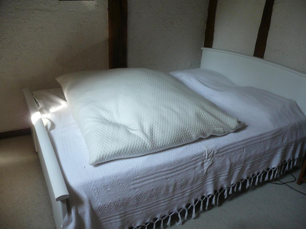 Gite De La Ronceraie Chaumont-sur-Loire Quarto foto